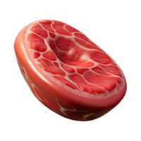 magnificent contemporary D Printed Steak From Thin Air Transparent Background authentic png