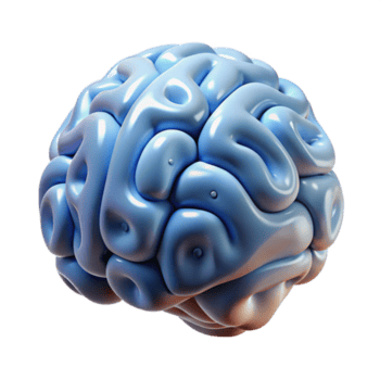 sereno rustico d reso cervello con binario codice copertura trasparente originale png