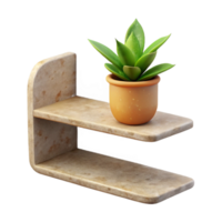 impressive creative Empty Shelf with Plant Shadow Cutout authentic png