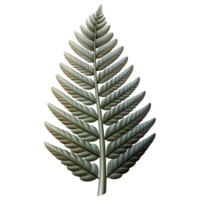 impressive modern Fern Frond Silhouette with Transparent Background Cutout exclusive png
