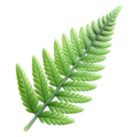 stunning artistic Fern Frond Delicate Green Transparent Background high quality png