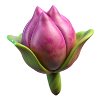 extraordinary traditional Flower Bud Isolated with Side View Angle high resolution png