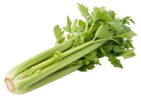 Fresh celery stalk with vibrant green leaves png