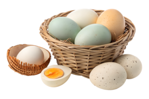 Fresh eggs in a basket with a sliced egg png