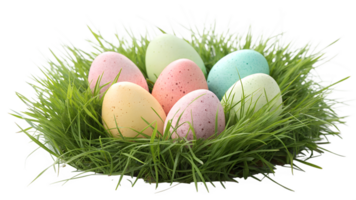 Colorful eggs arranged in green grass nest png