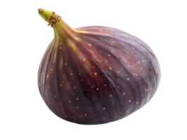 Fresh fig on a white background ready for eating png