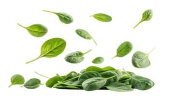 Floating spinach leaves form a striking display png