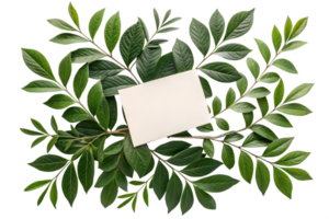 Green leaves with a blank card backdrop png