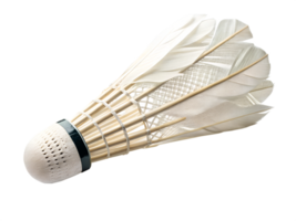 Shuttlecock used in a badminton game for practice png