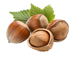 Fresh hazelnuts with leaves on a white background png