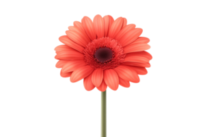 Red flower stands out on transparent png