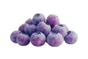 Fresh blueberries arranged in a colorful heap png