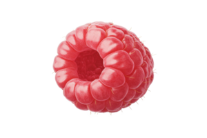 Fresh raspberry with unique hollow center detail png