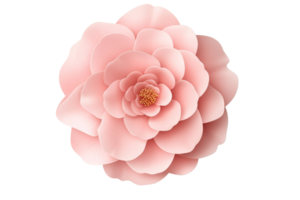 Elegant pink flower with layered petals in bloom png