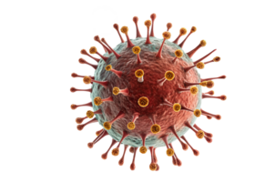 Virus structure visualized in three dimensions png