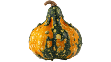 Colorful gourd with unique texture and shape png