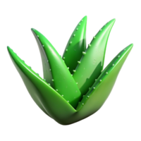 beautiful rustic Green Aloe Vera Leaf Cutout Isolated with Serrated Edges high resolution png