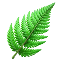 extraordinary classic Green Fern Frond Isolated with Delicate Details high resolution png