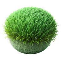 wonderful traditional Green Grass Texture Isolated Close Up high resolution png