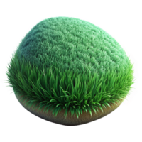 magnificent rustic Green Grass Texture Isolated Close Up exclusive png