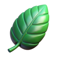 wonderful classic Green Leaf Cutout Isolated on Transparent Background genuine png