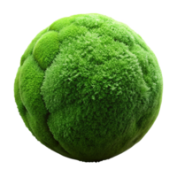 beautiful artistic Green Moss Texture Close Up Transparent Background exclusive png