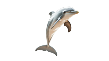 Dolphin performing a leap in the ocean air png