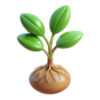 serene minimalist Growing Plant with Roots Visible Transparent Background png
