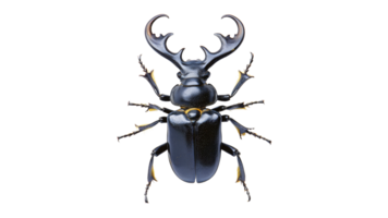Unique black beetle with impressive horns captured png
