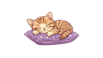 Cute kitten sleeping peacefully on a soft pillow png