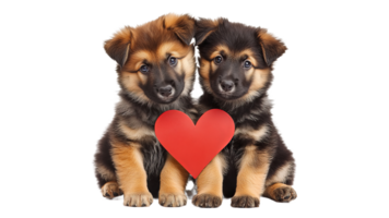 Two lovable puppies sharing a heart at playtime png