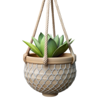dramatic artistic Hanging Planter Macrame Holder Isolated Cutout authentic png