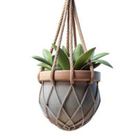 vibrant modern Hanging Planter Macrame Holder Isolated Cutout original png