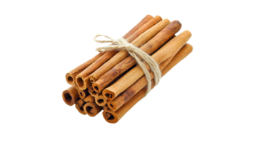 Cinnamon sticks with twine on white png