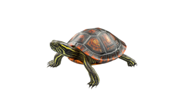 Colorful turtle walking on a smooth surface png