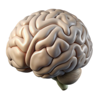 impressive abstract Human Brain Side View Pink Transparent Cutout high quality png