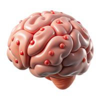 dramatic modern Human Brain with Language Centers Highlighted Isolated original png