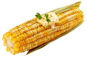 Grilled corn on the cob with butter and herbs png