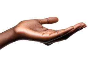 Open hand with inviting gesture and natural beauty png