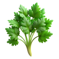 wonderful rustic Hydroponic Endive Curly Leaves Transparent Background premium png
