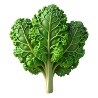 vibrant rustic Hydroponic Kale Curly Leaves Isolated Element authentic png