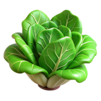 beautiful modern Hydroponic Lettuce Green Leaves Isolated Cutout high quality png