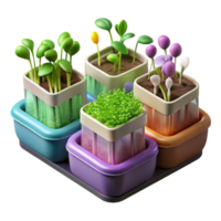 beautiful artistic Hydroponic Microgreens Assorted Colors Transparent Background authentic png