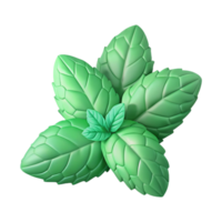 impressive abstract Hydroponic Mint Green Leaves Isolated Element authentic png