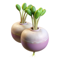 magnificent abstract Hydroponic Turnips White Roots Isolated exclusive png