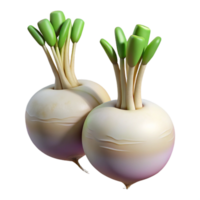 elegant vintage Hydroponic Turnips White Roots Isolated authentic png