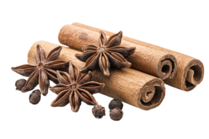 Artful spices cinnamon and star anise png