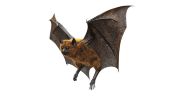 Brown bat soaring through the air under soft light png