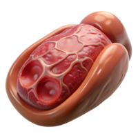 magnificent abstract Lab Grown Meat Sample Macro View Transparent Background professional png