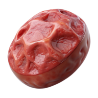 stunning modern Lab Grown Meat Sample Macro View Transparent Background authentic png